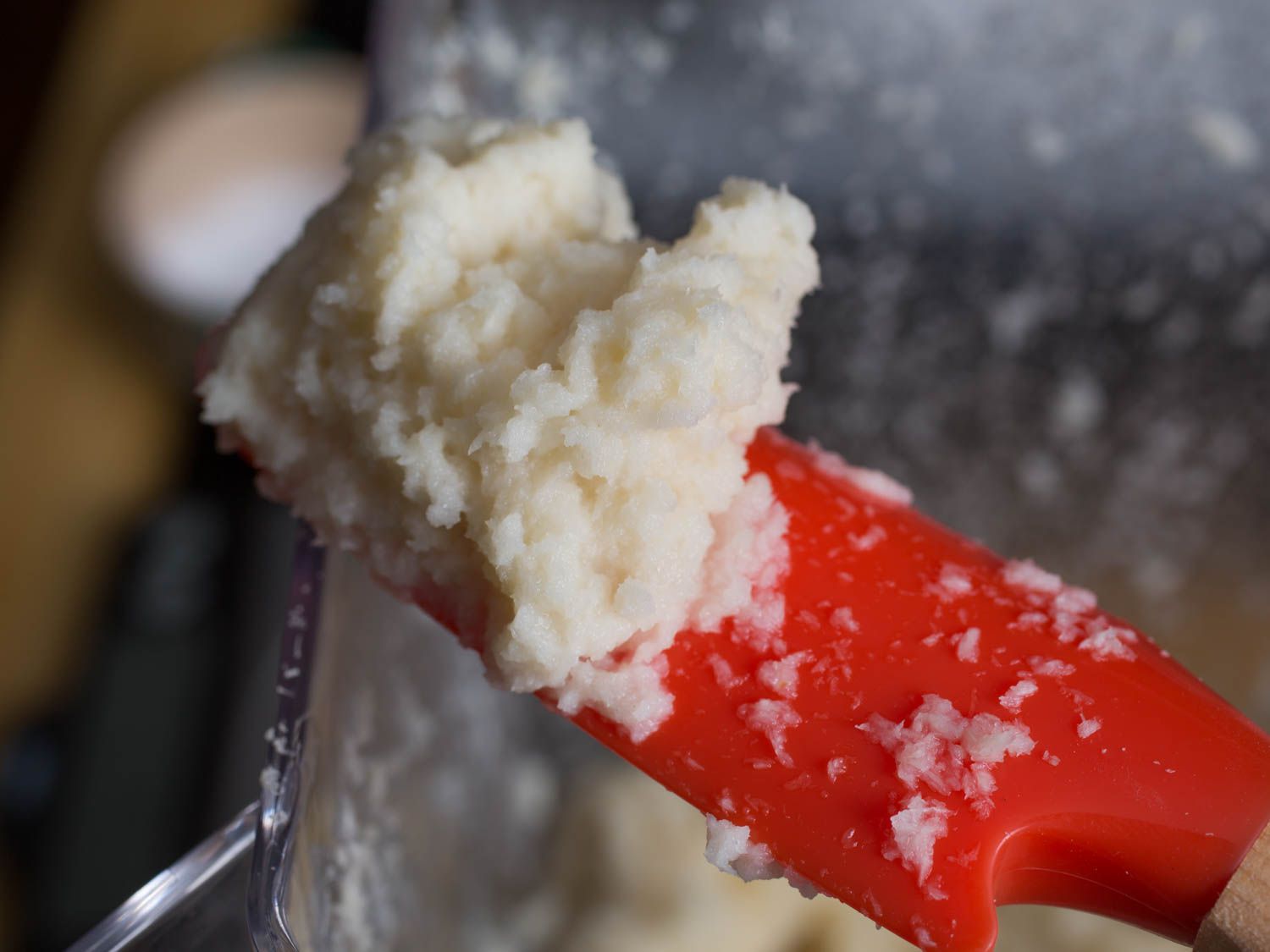 Homemade Preserved Horseradish Recipe Image