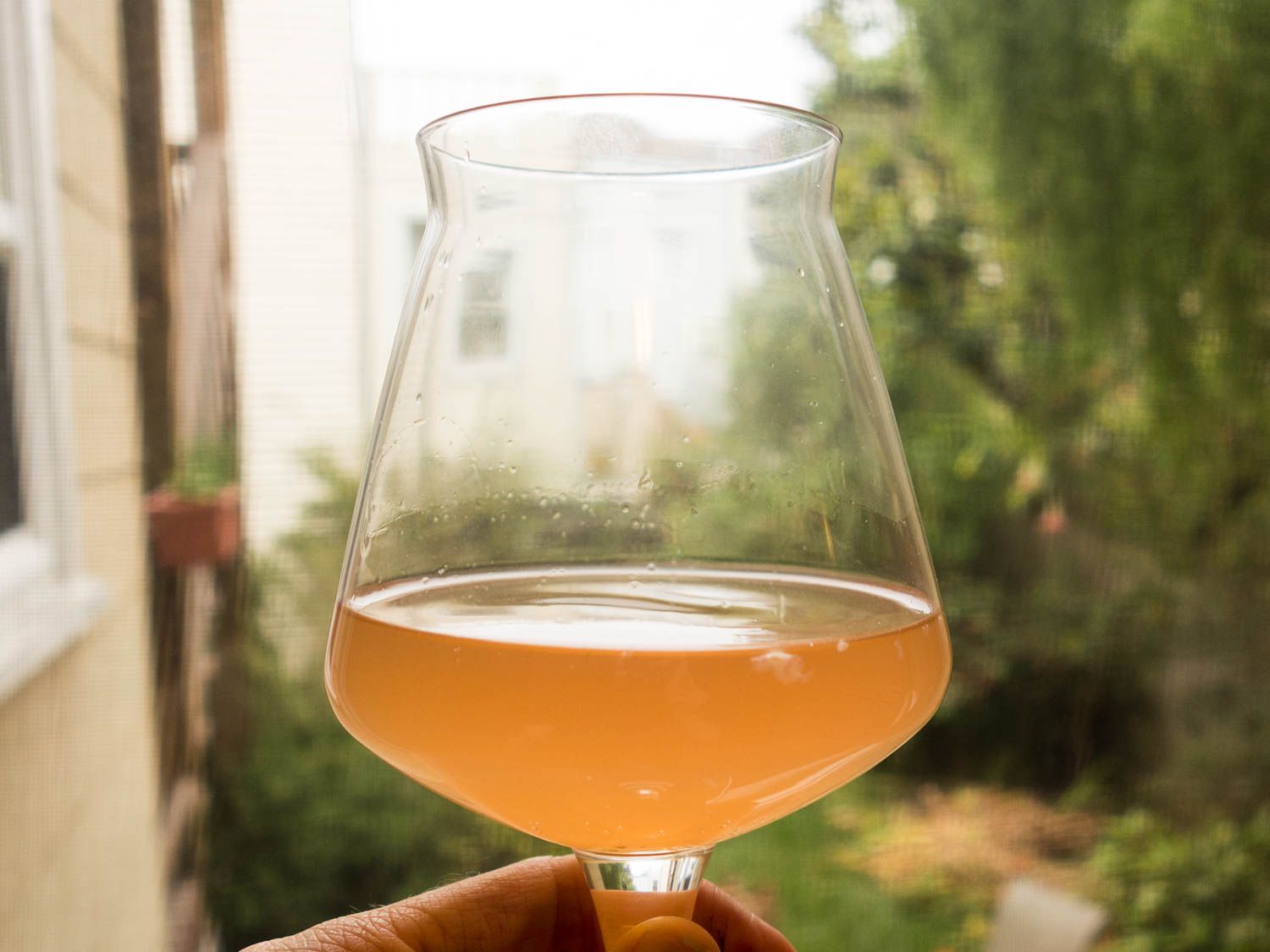 Fast Sour Beer Recipe Image