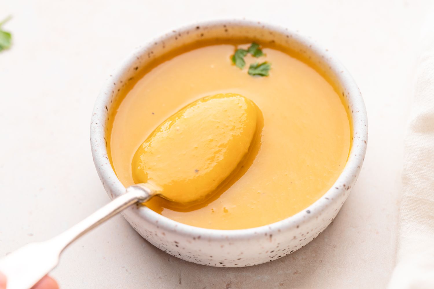Butternut Squash Soup Recipe Image