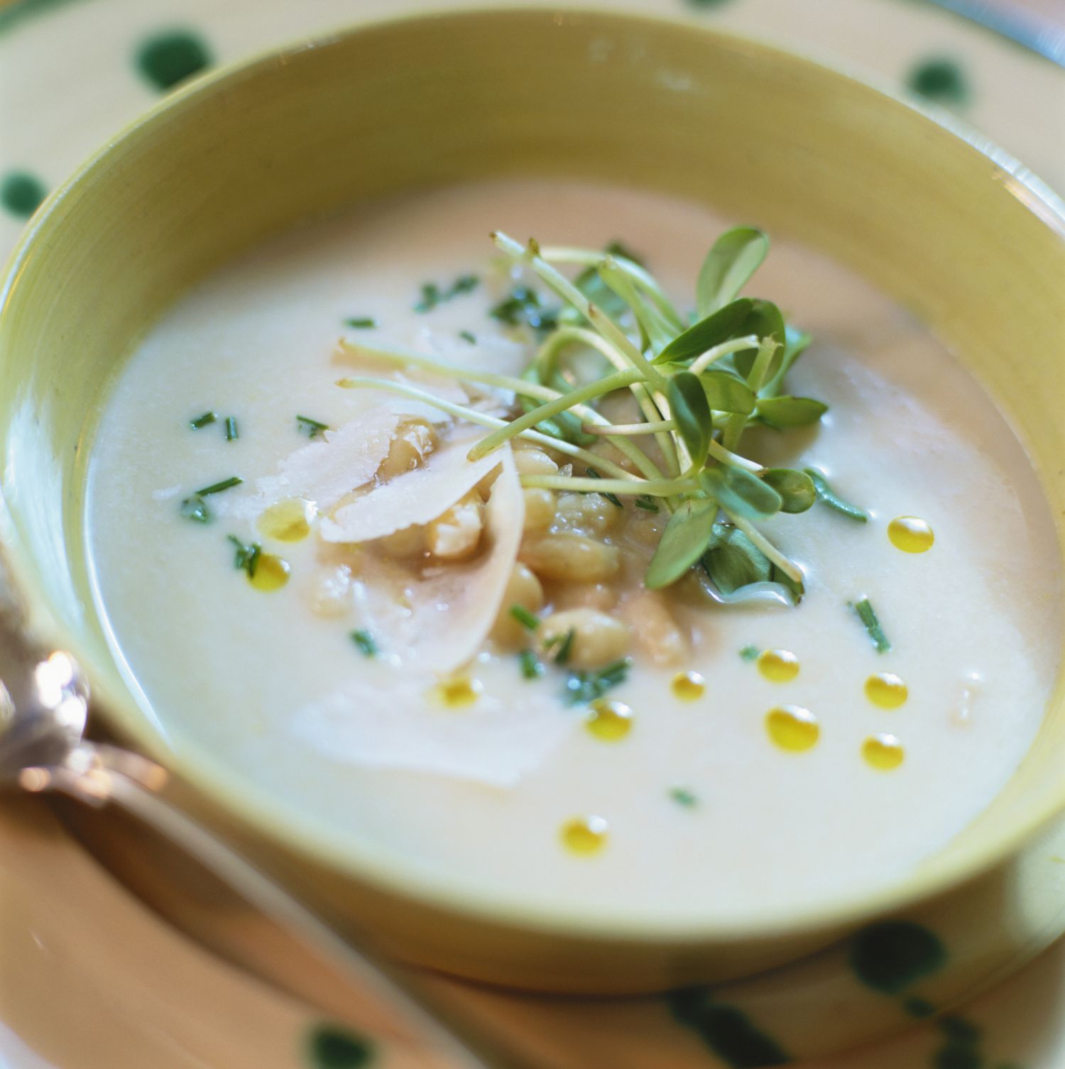 Pureed Italian White Bean Soup Recipe Image