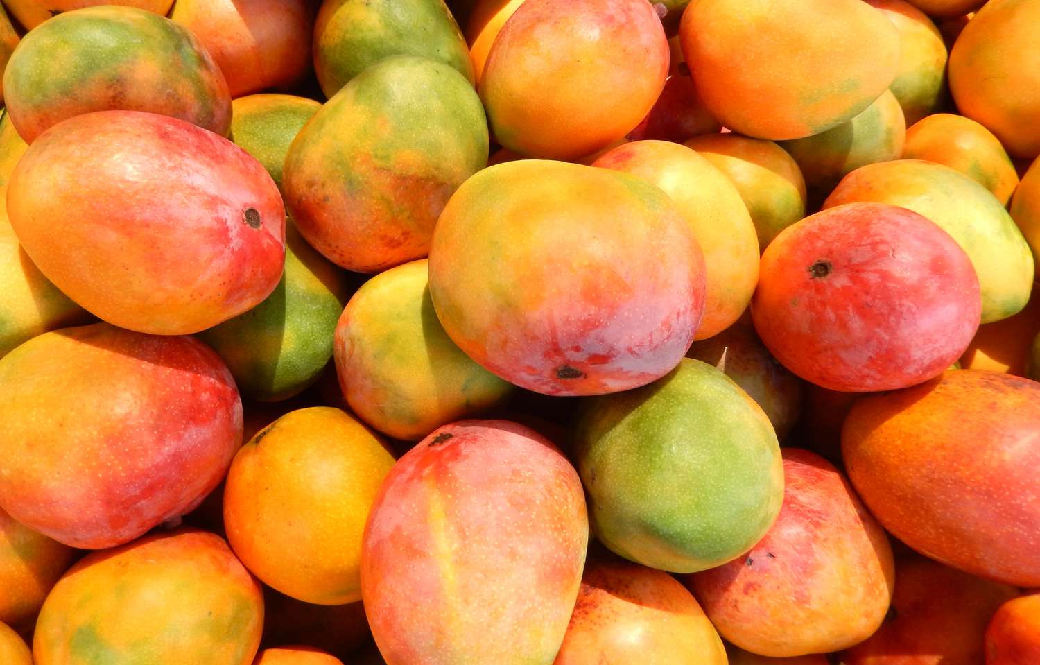 Seafood Mango Stir-Fry Recipe Image