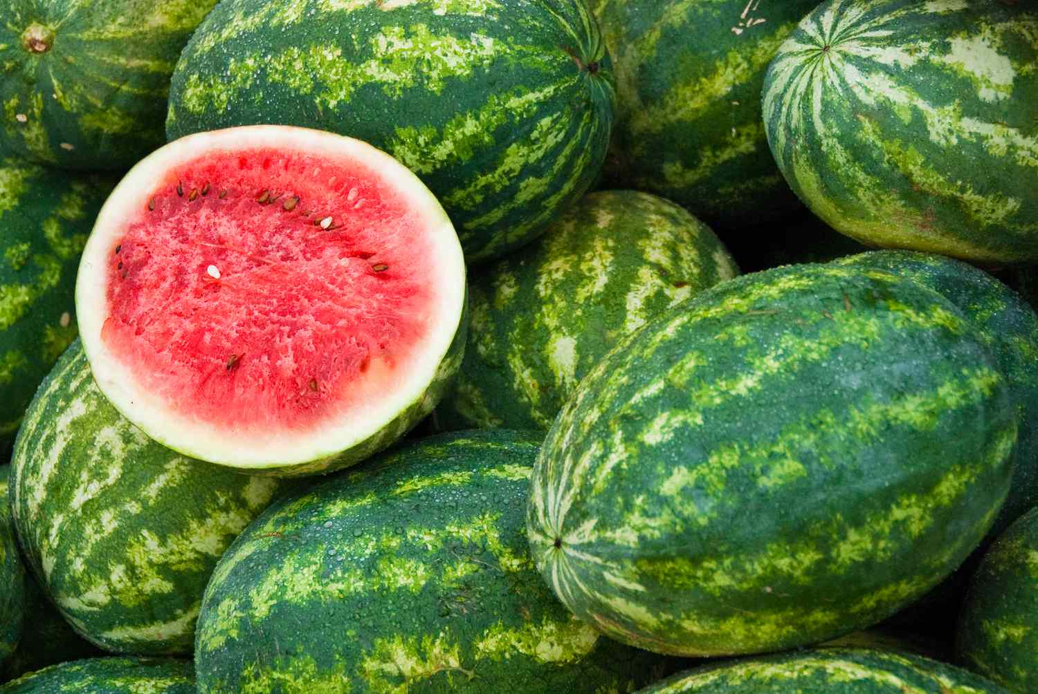 Fried Watermelon Recipe Image