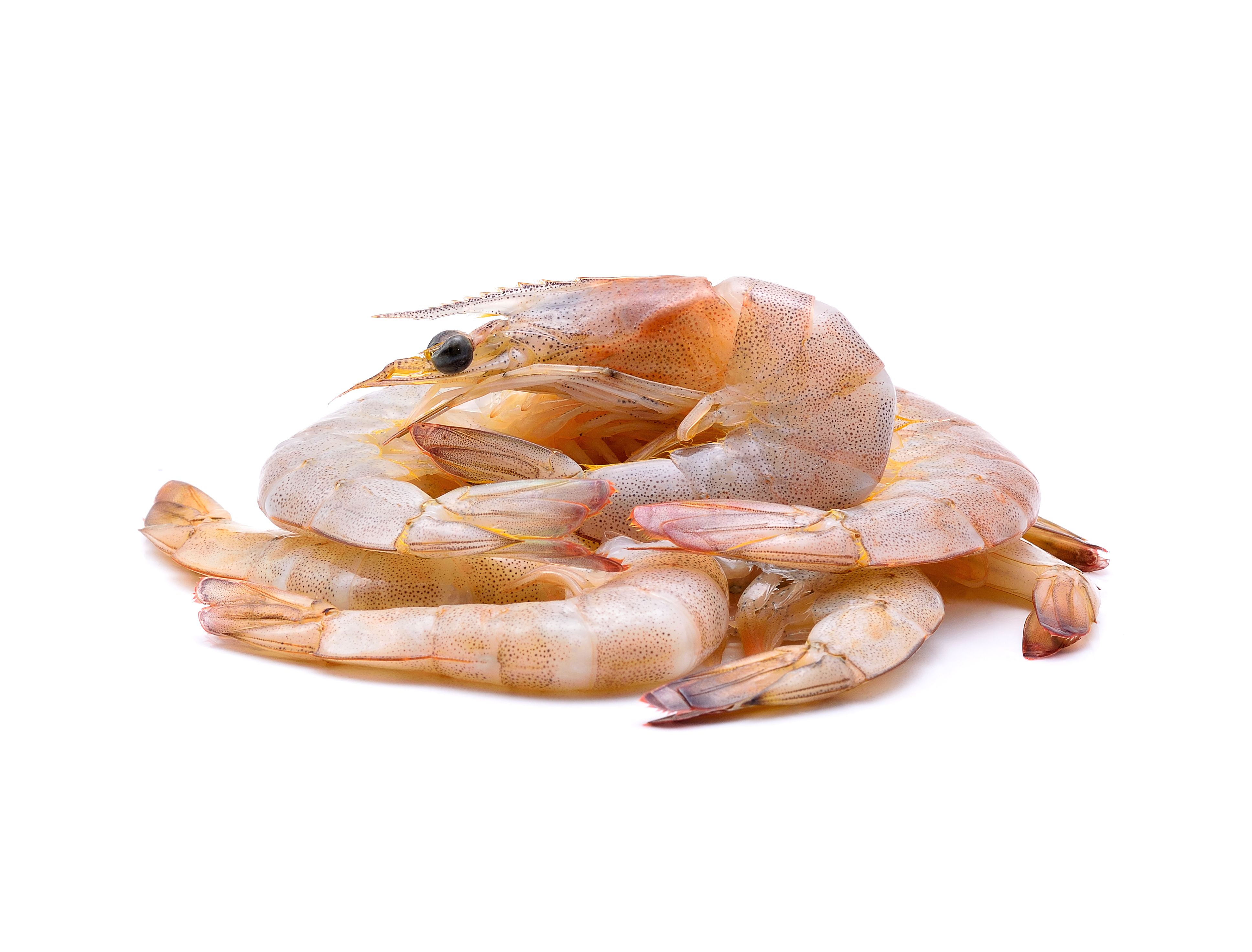 Classic Prawn Cocktail Recipe Image