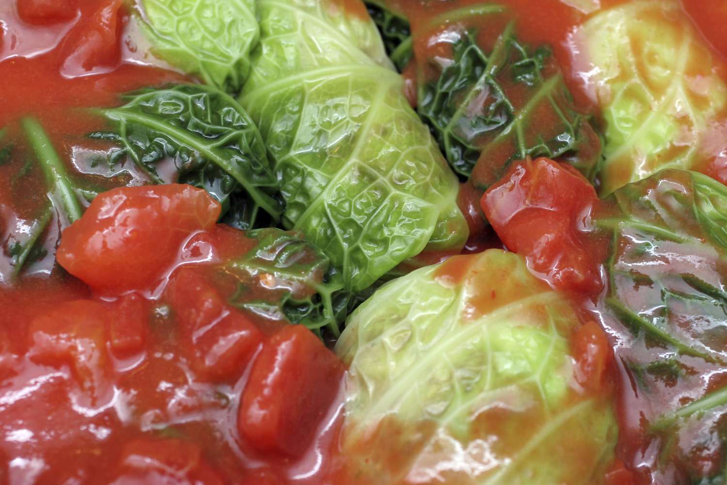 Slovak Holubky Stuffed Cabbage Recipe Image